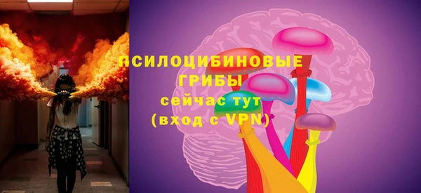 хмурый Алексеевка